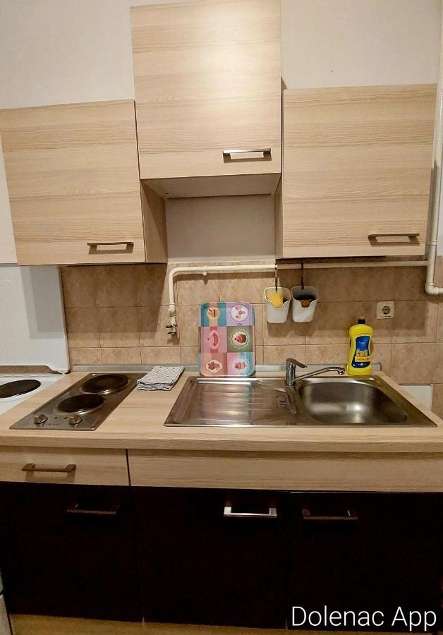 Appartamento Studio Apartman Dolenac Zagabria Esterno foto